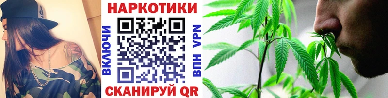 Сколько стоит Терек МЕТАДОН  ссылка на мегу онион  Амфетамин  Псилоцибиновые грибы  Конопля 