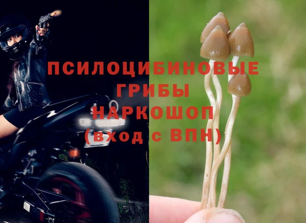 синтетический гашиш Абдулино