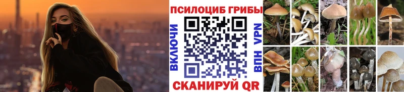 как найти Терек Псилоцибиновые грибы GOLDEN TEACHER